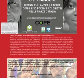 6 – 7 Maggio 2017 Banchetti Campagna Abbiamo Riso…Per una cosa seria