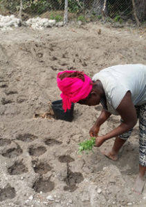 [cml_media_alt id='2435']guinea-bissau-2[/cml_media_alt]