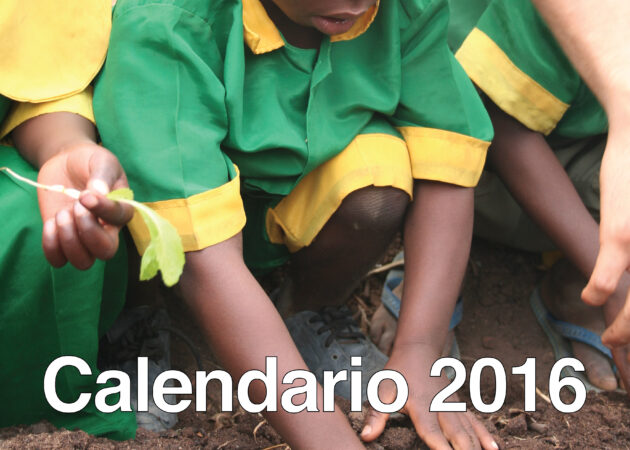 Tante idee per un regalo solidale