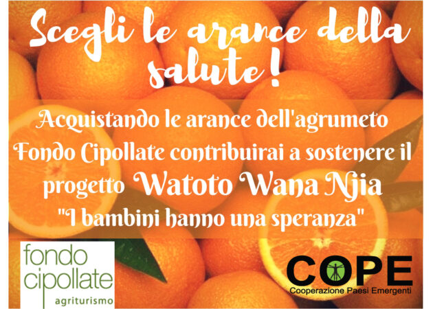 Le Arance della Salute