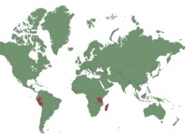 Rassegna stampa del Co.P.E.