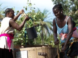 Campo di lavoro Guinea Bissau 2017