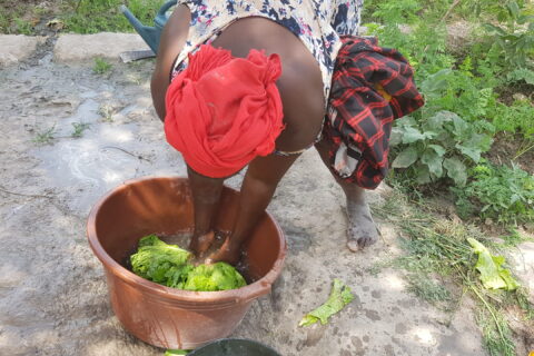 Jardim das Mulheres-Guinea Bissau-Fondi Misereor