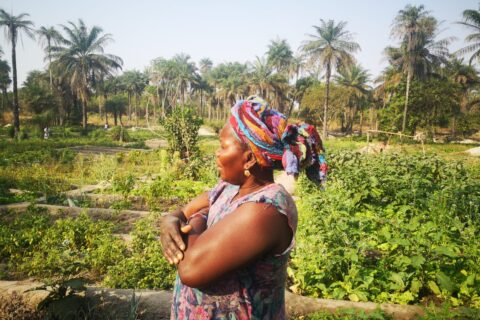 Guinea Bissau-Il Giardino delle Donne-Fondi 8×1000 Irpef