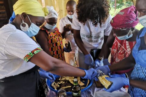 Guinea Bissau-Progetto di appoggio post emergenza e di costruzione della resilienza
